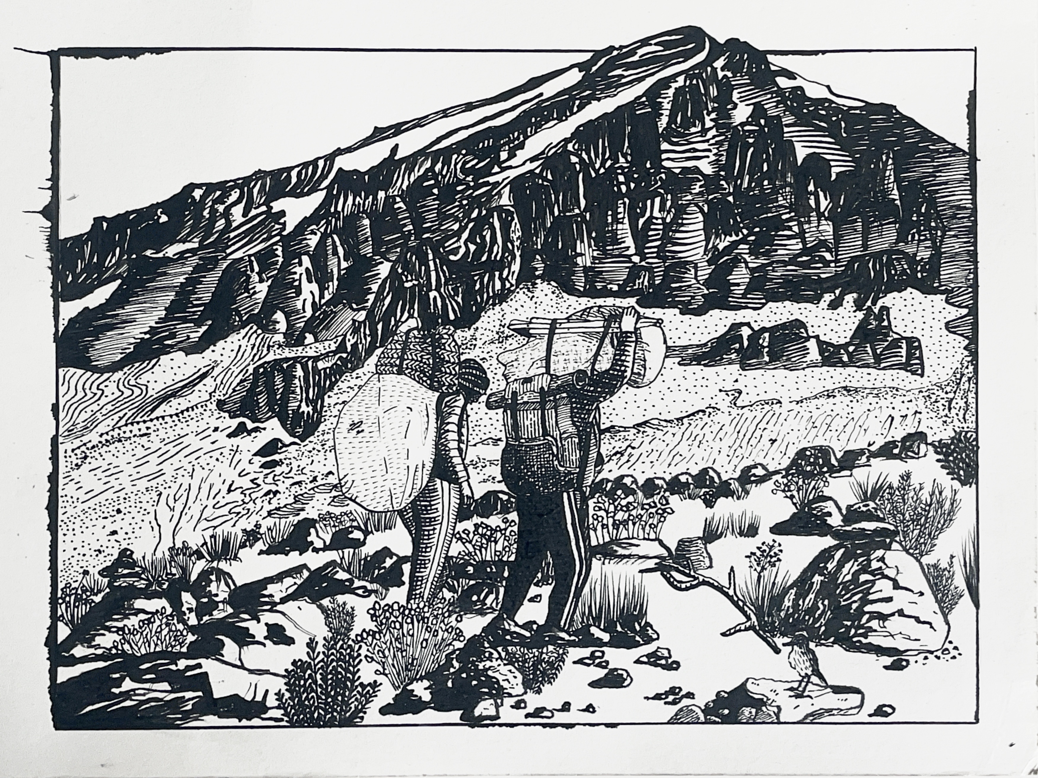 Kilimanjaro
